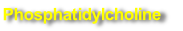 Phosphatidylcholine 