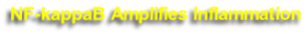 NF-kappaB Amplifies Inflammation