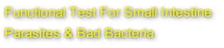 Functional Test For Small Intestine
