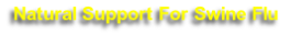 Natural Support For Swine Flu 