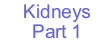Kidneys
Part 1
