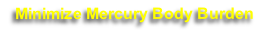 Minimize Mercury Body Burden 