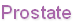Prostate