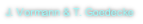 J. Vormann & T. Goedecke