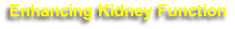 Enhancing Kidney Function
