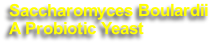 Saccharomyces Boulardii
A Probiotic Yeast
