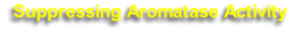 Suppressing Aromatase Activity 
