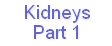 Kidneys
Part 1