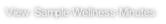 View Sample Wellness Minutes