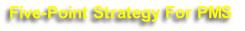 Five-Point Strategy For PMS 