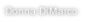 Donna DiMarco