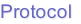 Protocol
