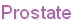 Prostate